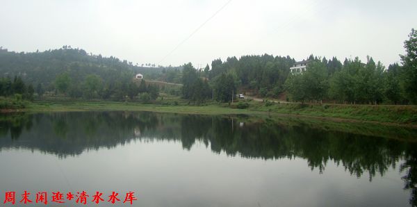 DSC06408.jpg