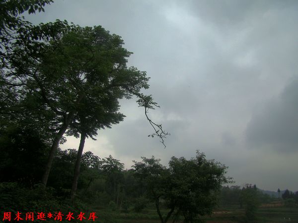 DSC06421.jpg