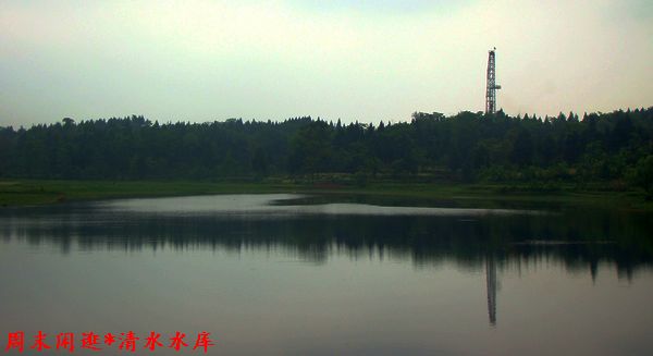 DSC06423.jpg
