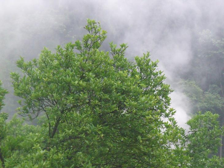 DSCF3445.JPG