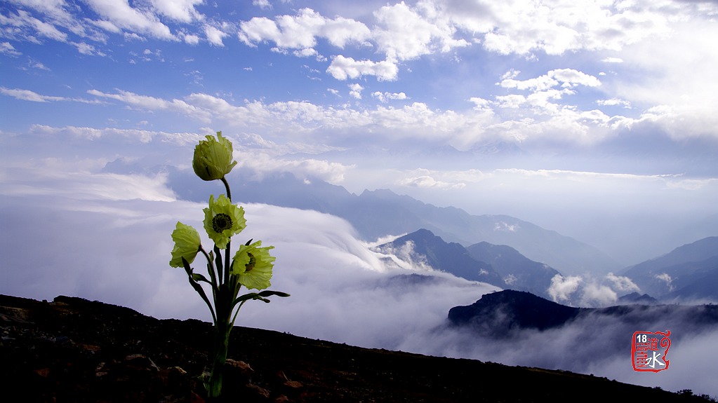 _IGP9710.jpg