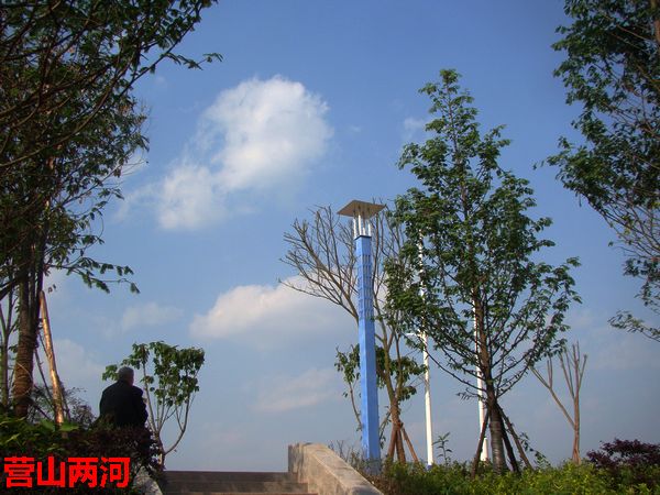 DSC06579.jpg