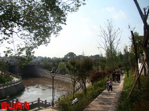 DSC06588.jpg