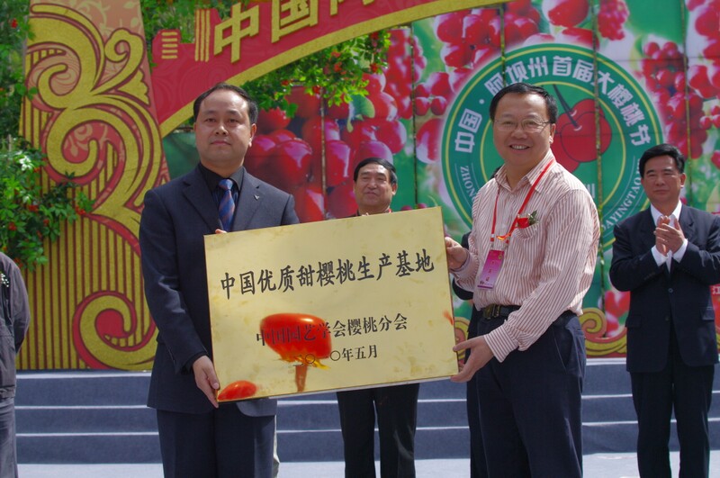 IMGP8314.jpg
