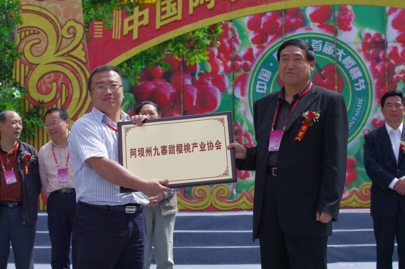 IMGP8322.jpg