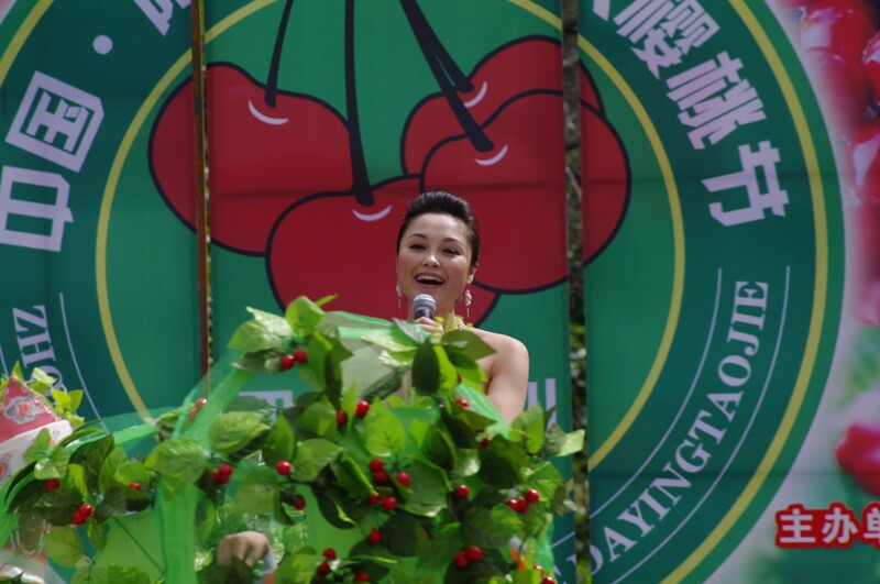 IMGP8373.jpg