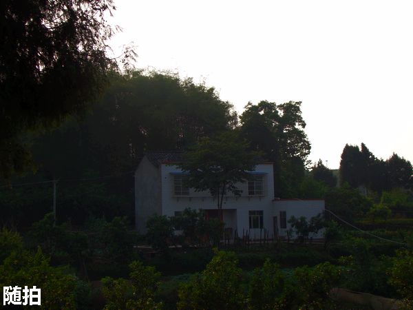 DSC06720.jpg