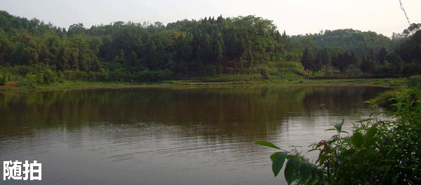 DSC06729.jpg