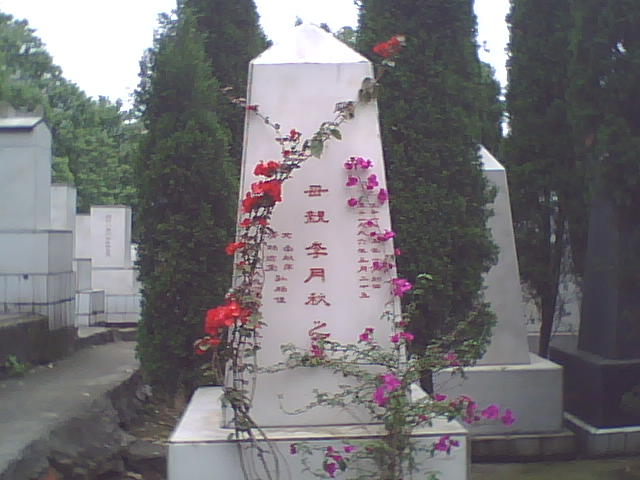WLS00826.JPG