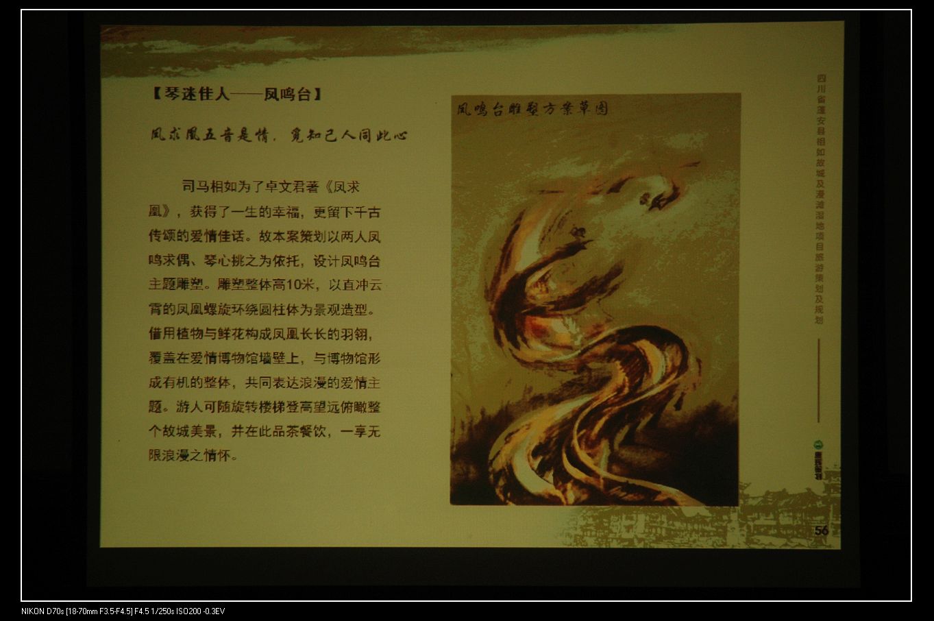 2010526˾ʳǲ߻滮 054.jpg