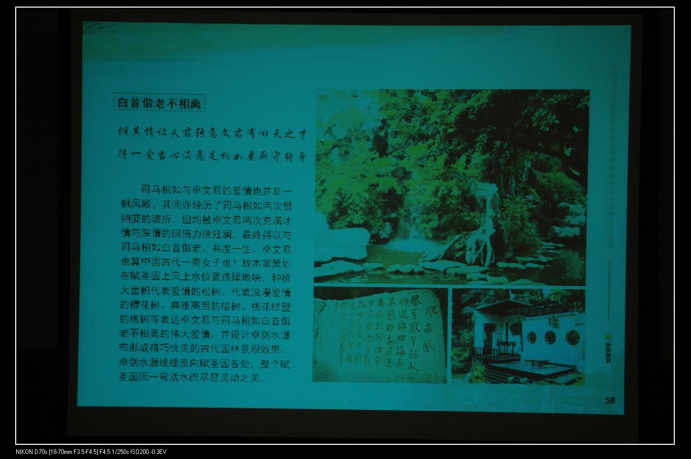 2010526˾ʳǲ߻滮 054.jpg