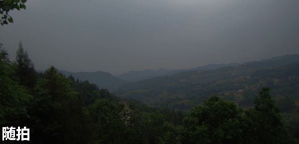 DSC06753.jpg