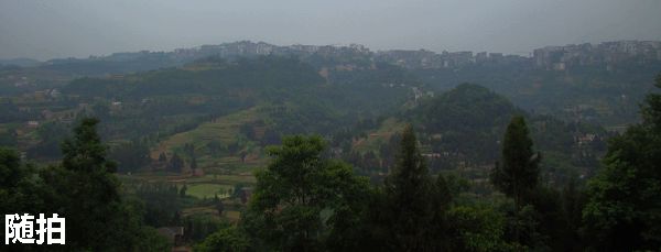 DSC06755.jpg