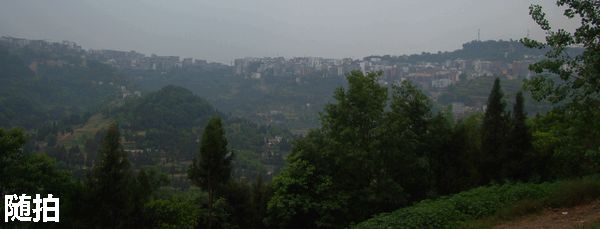 DSC06756.jpg