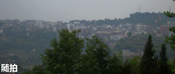 DSC06757.jpg