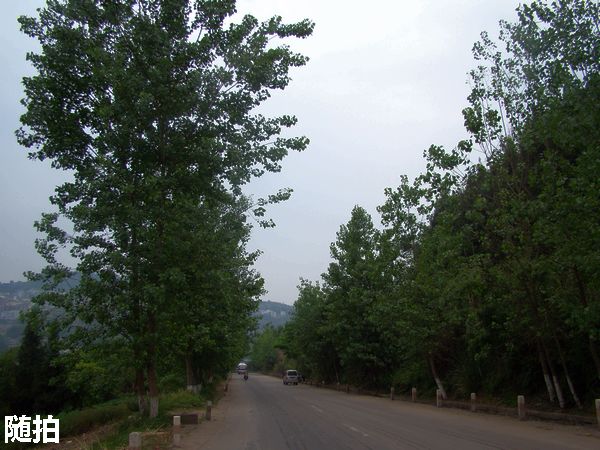 DSC06763.jpg