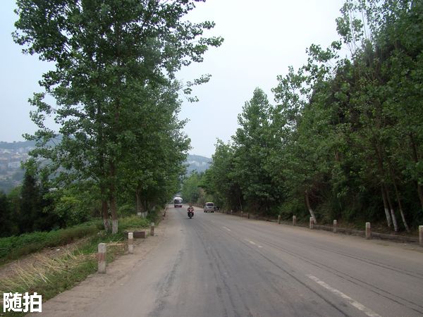DSC06764.jpg