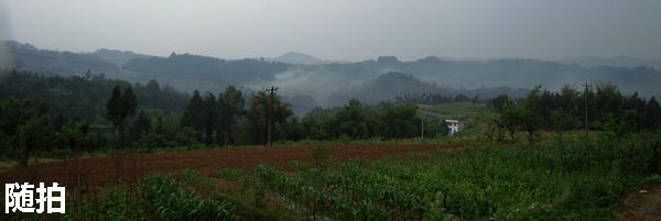 DSC06766.jpg