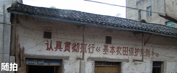 DSC06773.jpg
