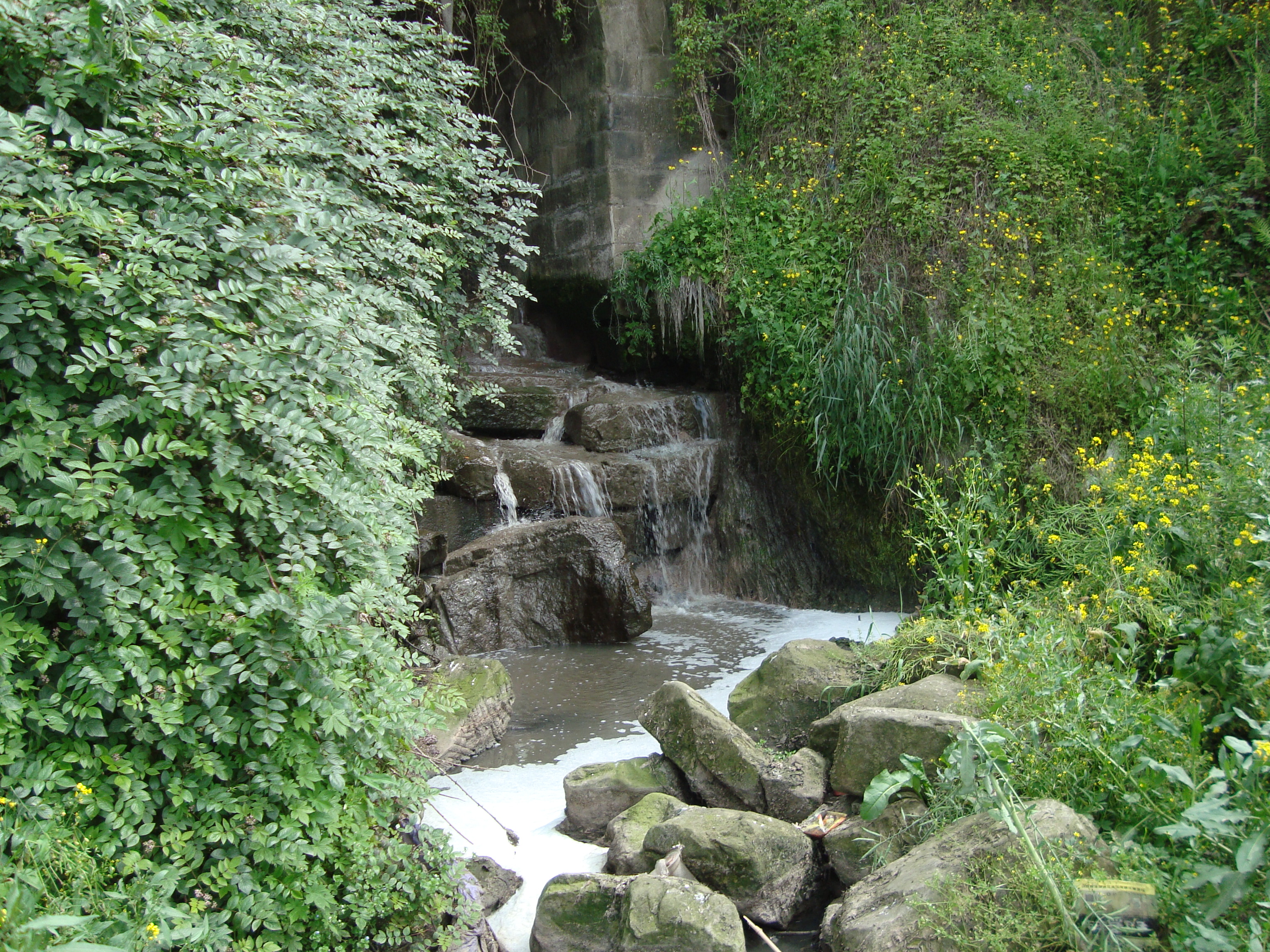 DSC01287.JPG