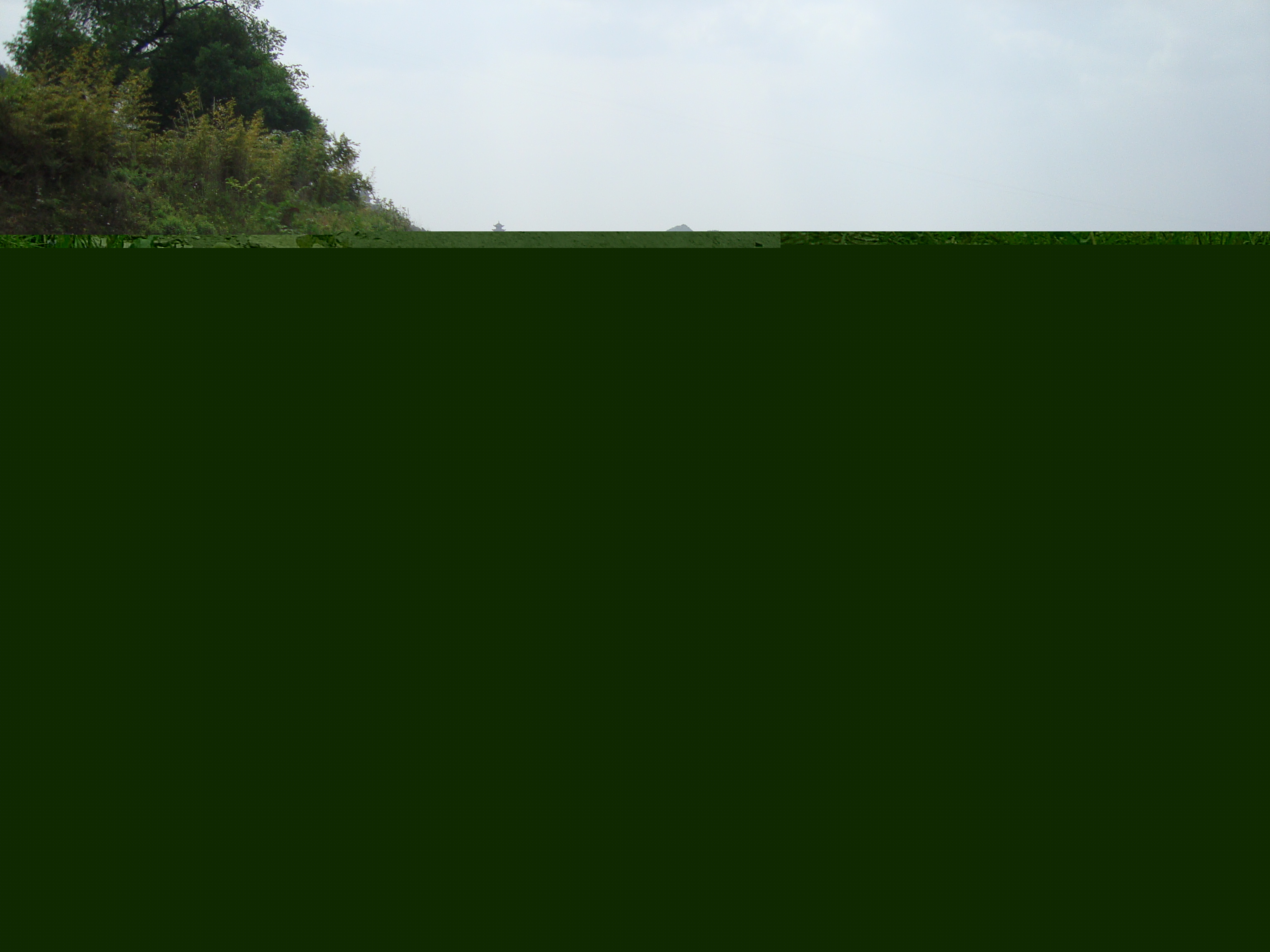 DSC01296.JPG