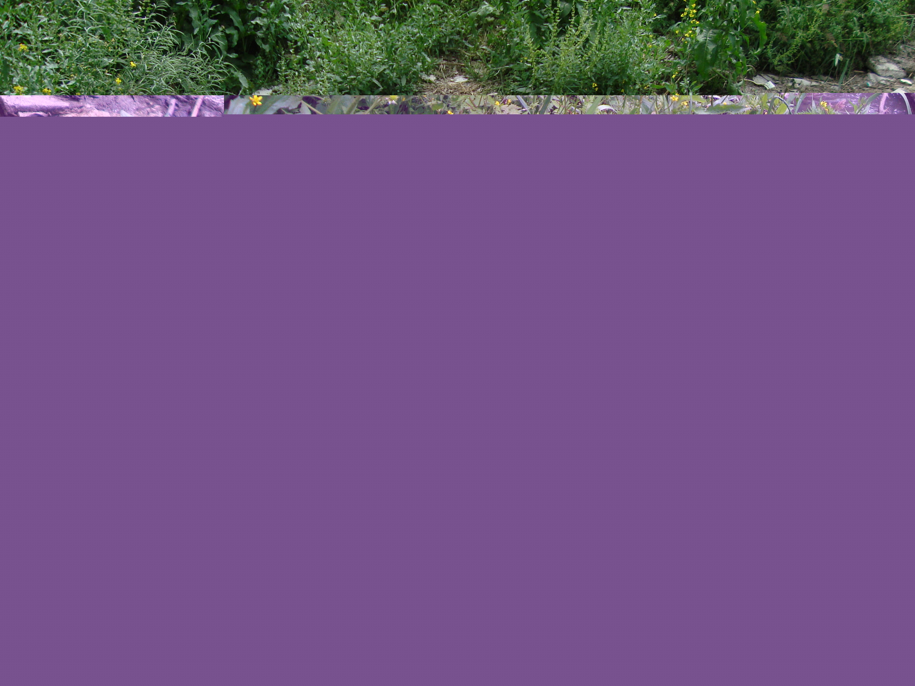 DSC01292.JPG