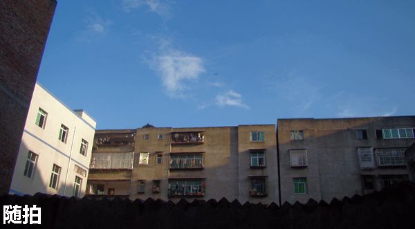 DSC06826.jpg