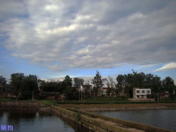 DSC06817.jpg