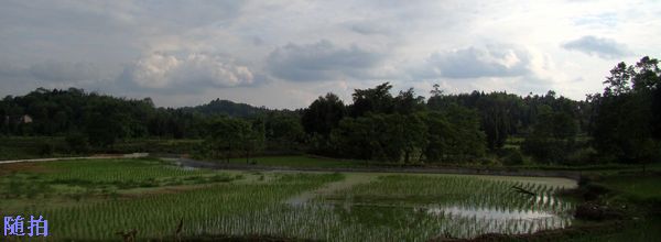 DSC06810.jpg