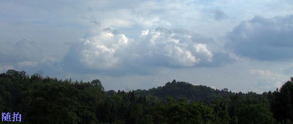 DSC06809.jpg