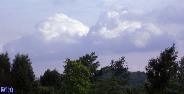 DSC06808.jpg