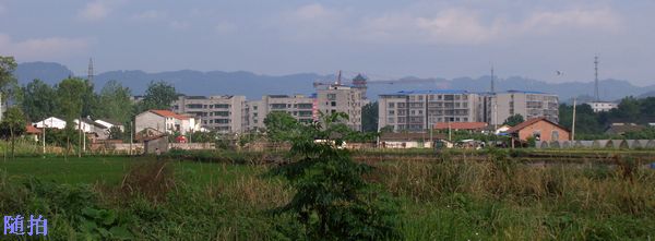 DSC06807.jpg