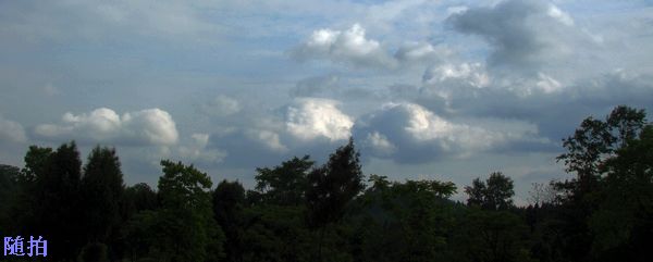 DSC06804.jpg
