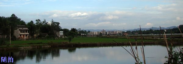 DSC06793.jpg