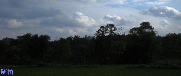 DSC06791.jpg