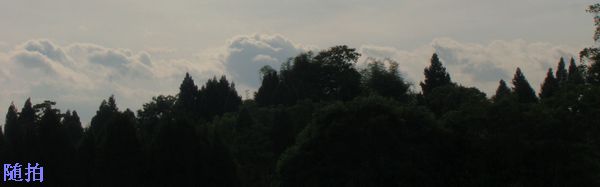 DSC06781.jpg