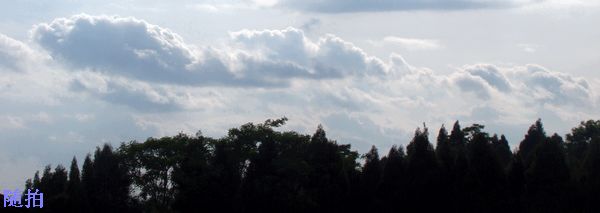 DSC06779.jpg
