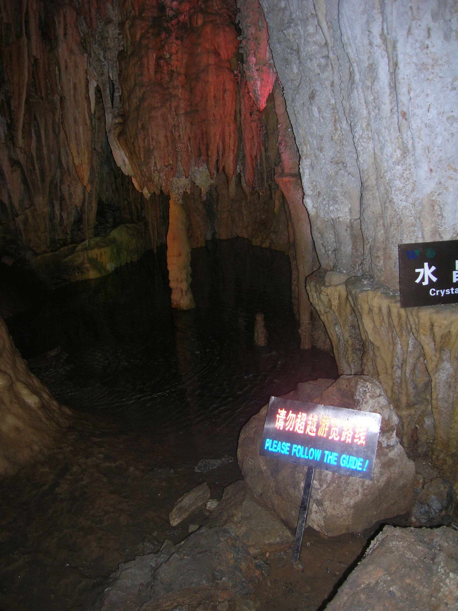 DSCN3495.jpg
