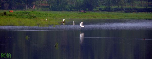DSC06925.jpg