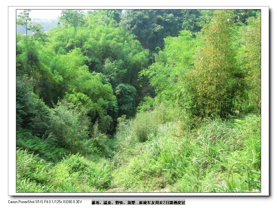 Ƭ 043.jpg