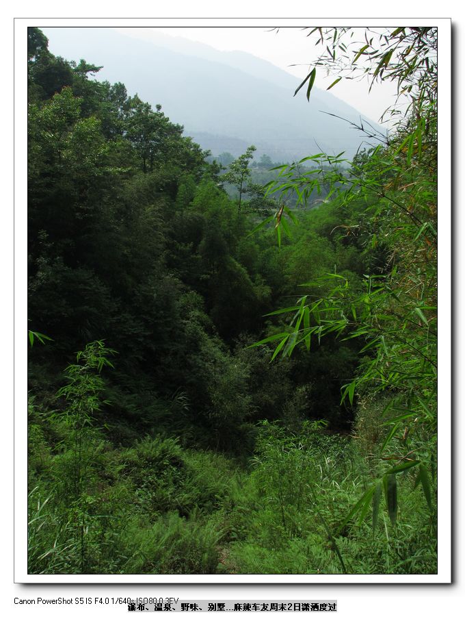 Ƭ 045.jpg