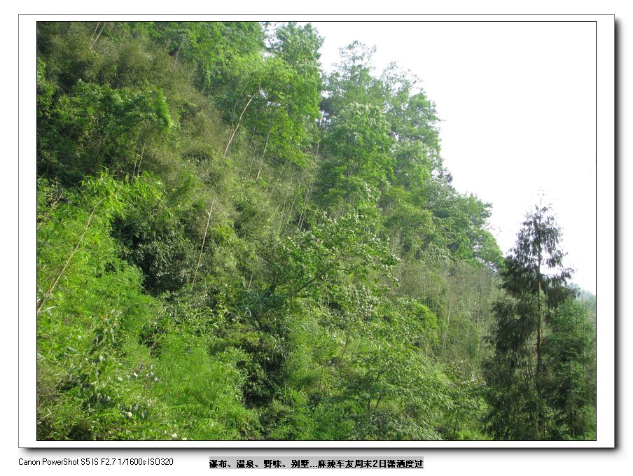 Ƭ 055.jpg