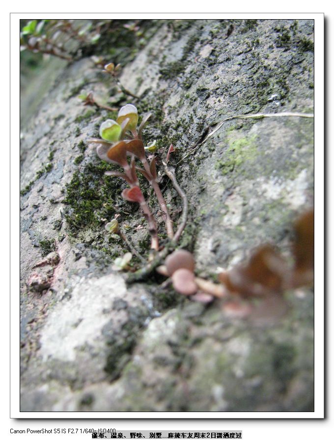 Ƭ 098.jpg