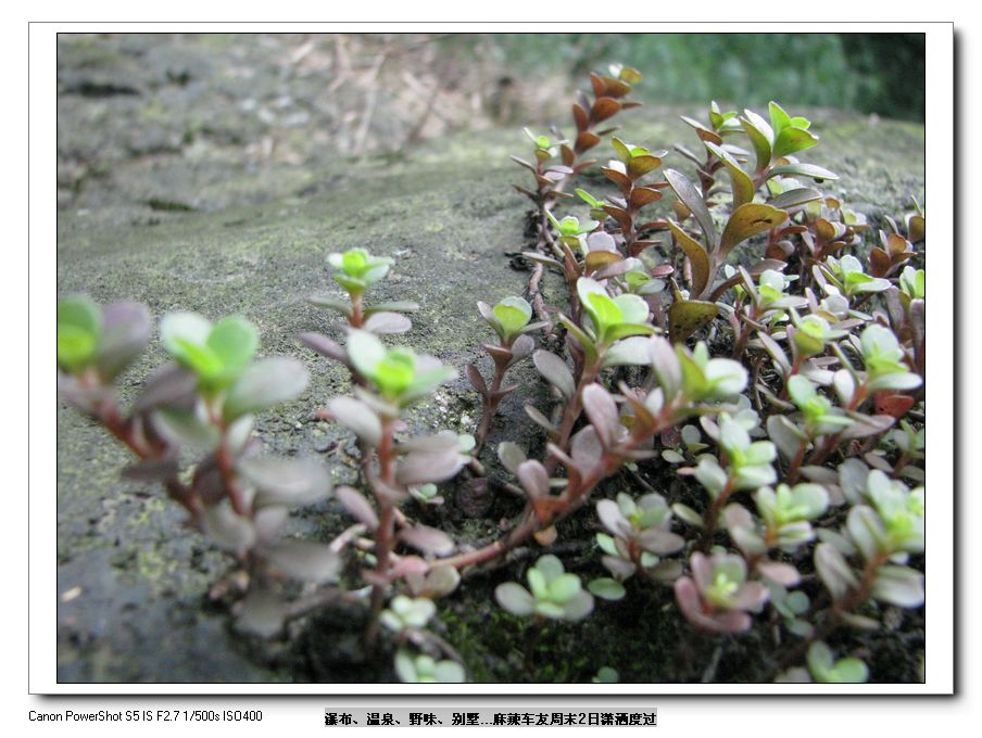 Ƭ 099.jpg