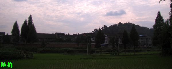 DSC07008.jpg