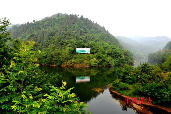 DSC_0697 .jpg