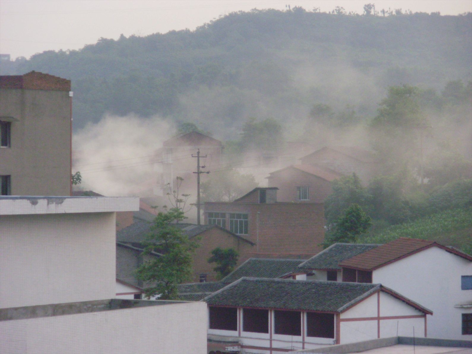 P6030004.JPG