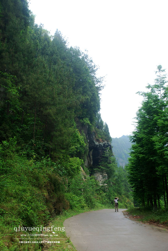 DSC_0033.jpg
