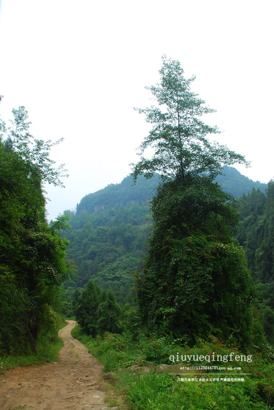 DSC_0040.jpg