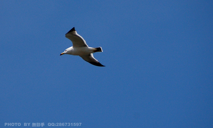 DSC_0474.jpg